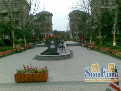 小区相关图