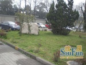 电子十所宿舍2室1厅东南