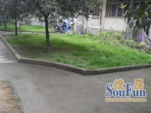 电子十所宿舍3室1厅西南