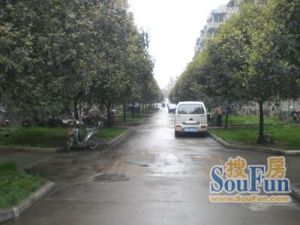 电子十所宿舍 2室1厅 南