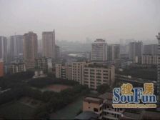 上创雅园 2室1厅 东南