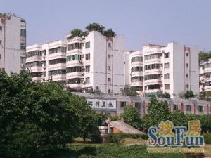 唐园电梯大三房,101%实际实用面积,天台花园150方