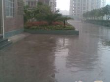 津都花园 3室1厅 南