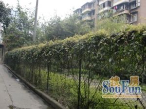 青西路2号2室1厅南