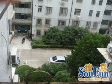 东二小区 2室1厅 南 东南