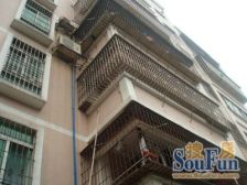 新中路 3室1厅 南 北