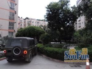 望江苑社区 3室2厅 东南 南