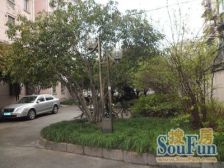 上钞桂花苑 1室1厅 西南