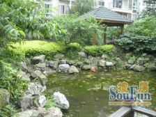 杜鹃城4室1厅东南