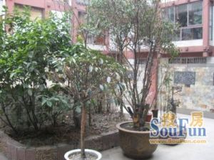 叠翠城 3室2厅 西北