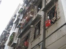 富宁路 3室1厅 东