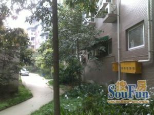 府河名居一期3室1厅西