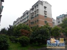 新桥小区3室2厅东南
