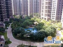 海畔嘉苑顶楼大复式,带私家游泳池