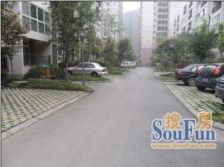 春江青龙湾 3室2厅 东南