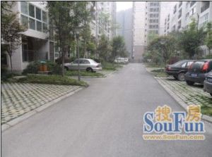 春江青龙湾3室2厅东南