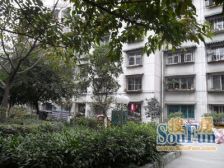 杨柳小区3室1厅西南东南
