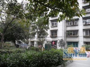 杨柳小区3室2厅西南