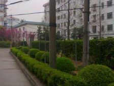 全明户型的小两房, 采光充足 交通便利 配套设施齐全