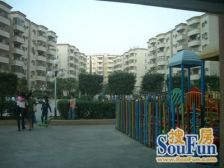 步梯低楼层两房,朝花园朝小区朝南向,安静,温馨舒适