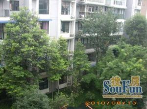 丽阳春天2室1厅西南