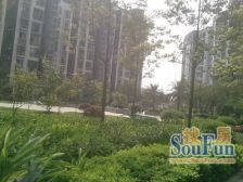 袁家岗奥体2室2厅 近地铁 出行方便 生活配套齐全