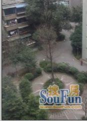 Q城1室1厅东南