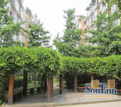 逸阳华庭实景图