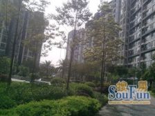 五朵金花,袁家岗轻轨,公交车站,奥体两房,出行方便