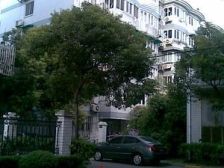 宝林新苑3室南朝向635.00万元/套出售