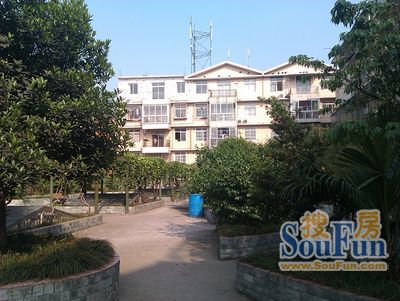 小区相关图
