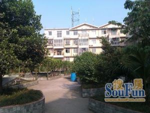 明星花苑3室2厅西南