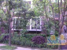 缙云山下,博物馆旁边,精装修三房出售