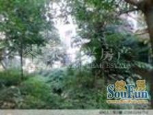 石坪村精装修1房 家电齐全 拎包入住 保养新 环境好