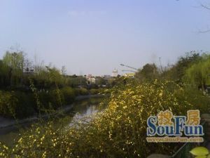 浣花北路6号3室2厅南