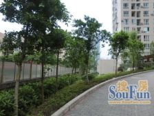 低首付 低月供 好出租 小两口 老年人居住