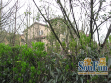 大学城 龙湖东桥郡五组团五房680万