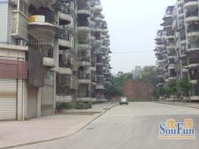 东林雅苑 3室2厅 东南