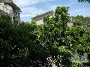 青城山水2室1厅东南