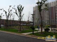 14号线临洮路站 配套齐全 看房随时 税费少 落地阳台