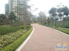 顺德雅居乐花园 4室2厅 南