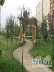 京龙嘉苑3室1厅南