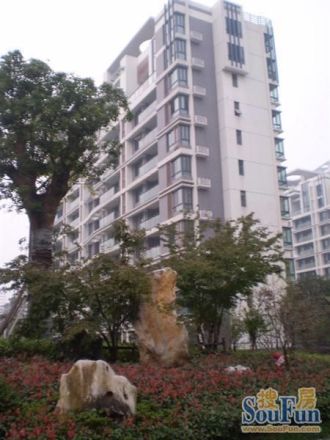 庭院深深实景图