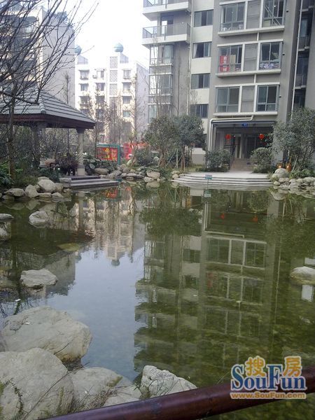 小区相关图
