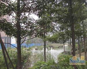 棠湖泊林镇2室2厅西
