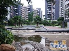 千灯湖 保利花园三期 满五年唯一 高层东南向四房