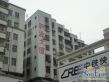 新业大厦实景图