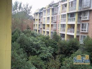 天府香城 2室2厅 南