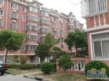 育秀十一区现浇房复式大5房采光好