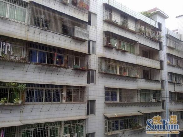 林苑楼实景图